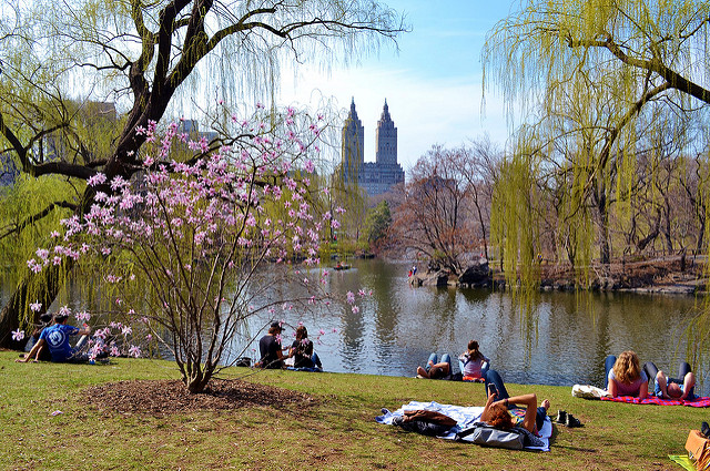 What Smart Mayors Can Learn from the Turnaround of Central Park